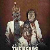 anatomy of the heads