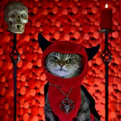 Avatar for pezfelis