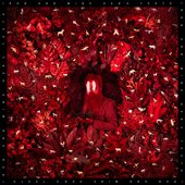 Grace Notes - Single