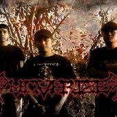 Pulverizer IDDM