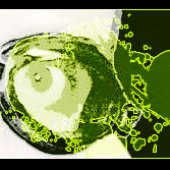 Qo