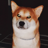 oldschool_slg 的头像