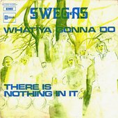 Swegas 