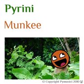 Munkee