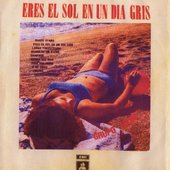 Eres el Sol en un Día Gris