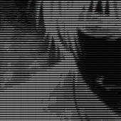 Kmoobbs2004 的头像
