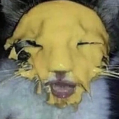 izzymete 的头像