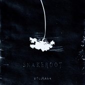 Snakeroot - Single