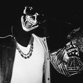 1900x1900-000000-80-0-0 (2).jpg