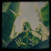 Plátano Tapes