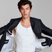 Shawn Mendes