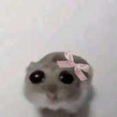 goobergoob_1 的头像