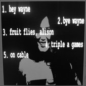 hey wayne tracklist