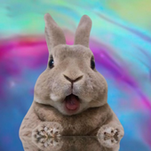 Avatar for bunnycheeks82