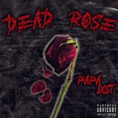 DEAD ROSE [Explicit]