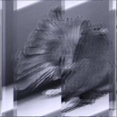 Serialsceptre01