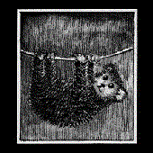 Avatar for TVeev