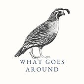 What Goes Around (feat. Lemon Sky) - Single