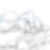 Glass Wing Spread