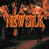 NEW SILK