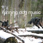 running dog music
