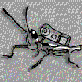 Avatar for asabiserotonin