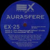 The Greenhouse Effect