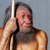 Avatar for Neanderthal2