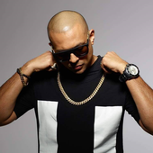 Sean Paul 2.png