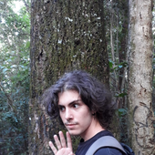 Avatar di moreno9991