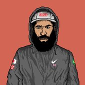 vesa