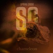 Chameleon - Single