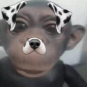 kamiewp 的头像