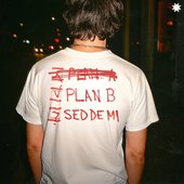 SED DE MI