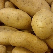 Potatoes_3 için avatar