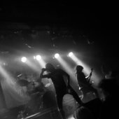 IMG_6729.jpeg