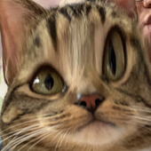 sabadrinks 的头像