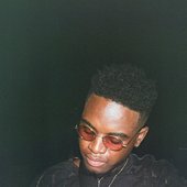 Lavi$h