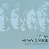 HEAVY GAUGE