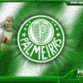 palmeiras 2