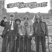 Wingz band