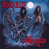 BlackRain - Dying Breed