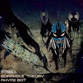 Wormhole Theory
