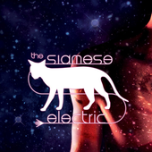 Avatar for siameseelectric