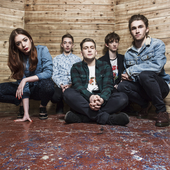 Marmozets 2014