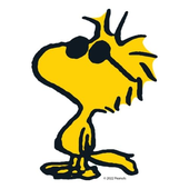 Avatar for Lkmolvera