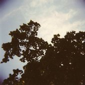 \"Concealed Affection\" Album Cover - Photograph taken by Crystal Sriver