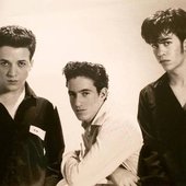 the one from israel (להקת הזוהרים)