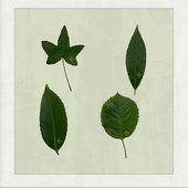 Photo Synthesis