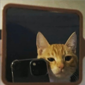 Avatar for yoshidanbi